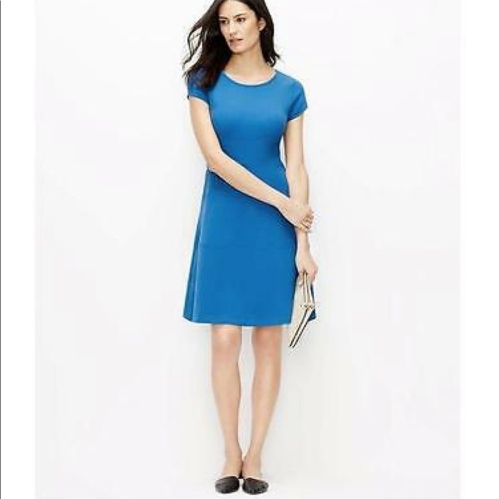 Ann Taylor Seamed Flare Dress Size 0